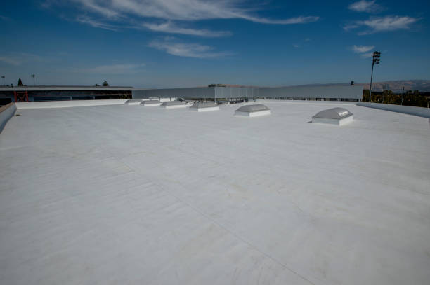 Best Roof Moss and Algae Removal  in Bowling Green, VA